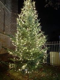 Weihnachtsbaum K&ouml;ln Longerich 2023